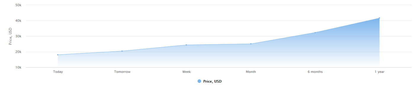 Bitcoin Price Prediction Chart — 1 year